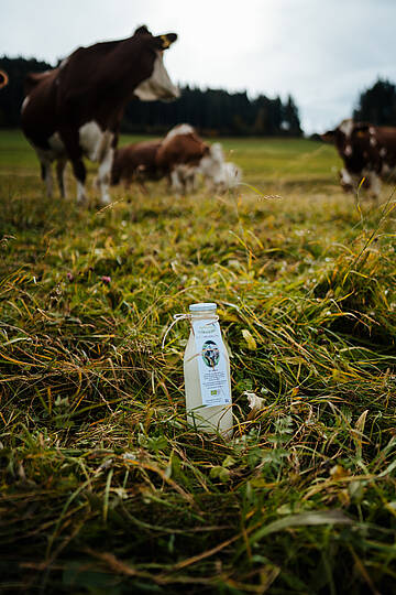 Frisches Grün am Arlbeck © Martin Hofmann_Kärnten Werbung