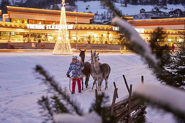 Lama-Führungen am Kulinarischen Familien-Advent © Johannes Puch_MBN Tourismus