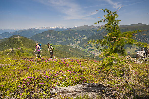 Wanderer erkunden die vielfältige Flora und Fauna auf dem Alpe Adria Trail © Franz Gerdl_Kärnten Werbung