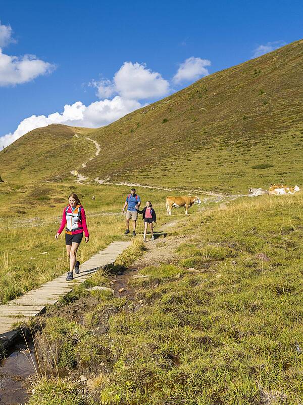 Eine magische Atmosphäre für Wanderer© Franz Gerdl_MBN Tourismus