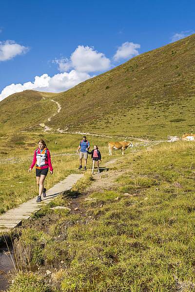 Eine magische Atmosphäre für Wanderer© Franz Gerdl_MBN Tourismus