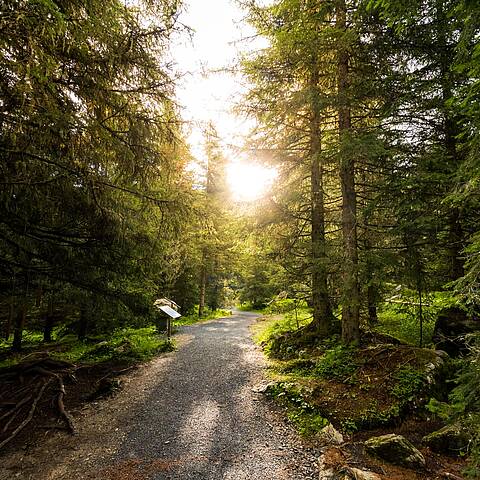 Entspannung pur auf der barrierefreien Bergpromenade Brunnach, mit Blick auf die majestätischen Nockberge © Michael Stabentheiner_Kärnten Werbung