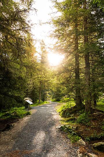 Entspannung pur auf der barrierefreien Bergpromenade Brunnach, mit Blick auf die majestätischen Nockberge © Michael Stabentheiner_Kärnten Werbung