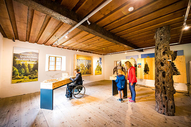 Ein Familientag auf der barrierefreien Bergpromenade Brunnach in den malerischen Nockbergen © Michael Stabentheiner_Kärnten Werbung