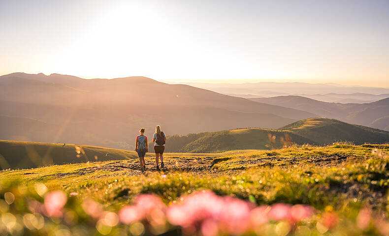 Nockberge-Trail © Kärnten Werbung - Michael Stabentheiner