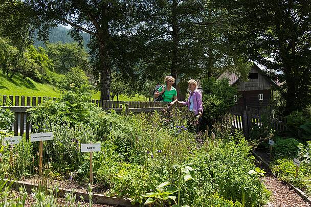 Wandern in Gnesau © Franz Gerdl_MBN Tourismus