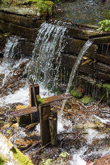 Wandern am Himmelberg © Franz Gerdl_MBN Tourismus