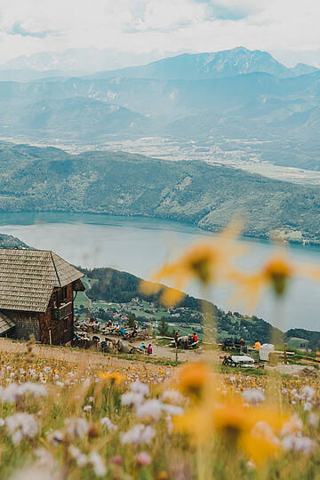 Blumenfreude auf der Alexanderhütte © Fabian Sackl_Alexanderhütte