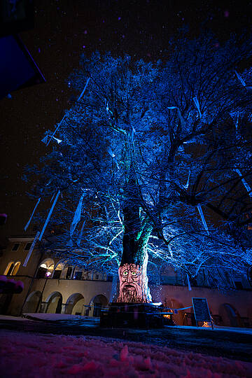 Lichtweg im Advent © Gert Perauer_MBN Tourismus