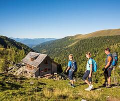 Familienwanderung durch blühende Almwiesen in den Nockbergen © Franz Gerdl_Kärnten Werbung