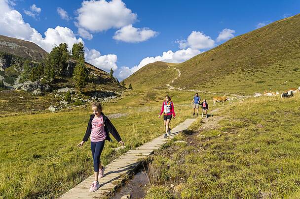 Sommerliche Farbenpracht in den Nockbergen, ideal für eine Wanderung © Franz Gerdl_MBN Tourismus