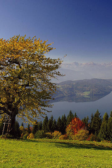 Herbst auf der Millstätter Alpe © Franz Gerdl_Kärnten Werbung