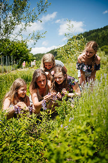 Ganze Familie im Gras © Martin Hofmann_Kärnten Werbung