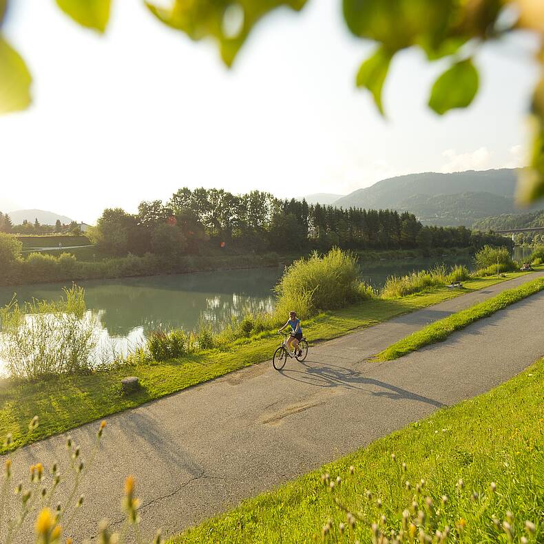 Radfahren am Drauradweg © Franz Gerdl_Kärnten Werbung