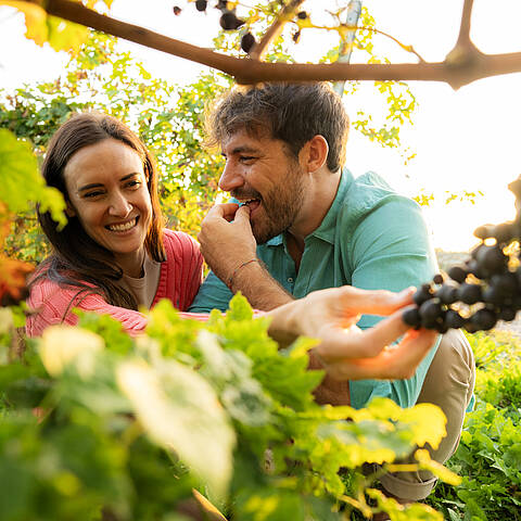 Wein Kärnten © Gert Perauer_MBN Tourismus