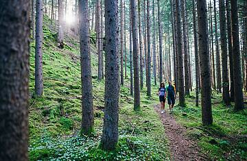 Ein malerischer Blick auf den Slow Trail, der durch dichte Wälder und entlang des klaren Wassers führt © Gert Perauer_MBN Tourismus