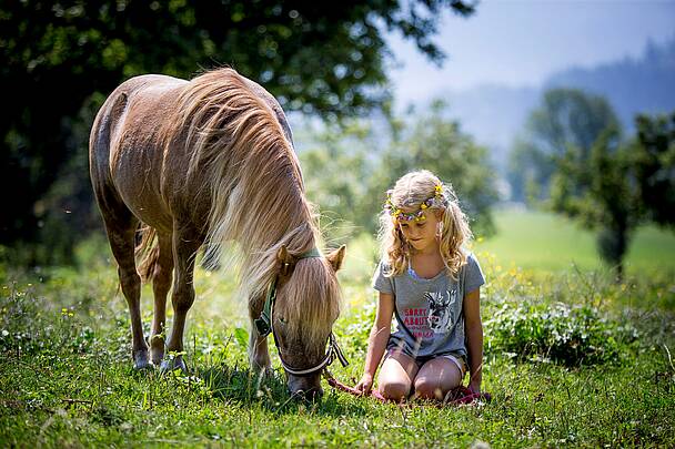 Pony Urlaub am Bauernhof © Ikarus_UaB