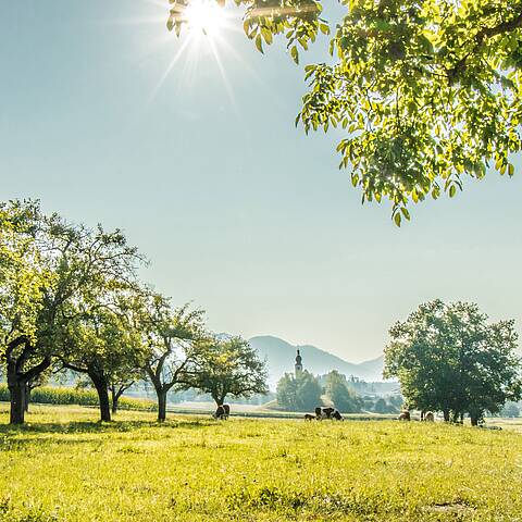 Panorama Lendorf © Gemeinde Lendorf