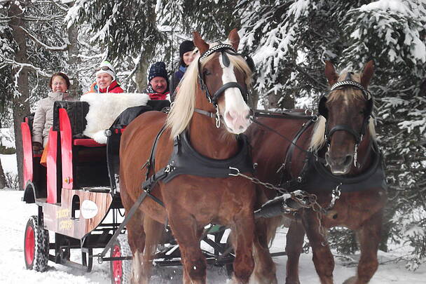 Pferdekutschenfahrt Kärnten © Hotel Trattlerhof