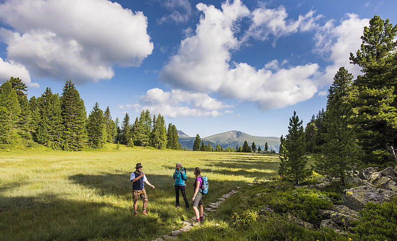 Wandern Turracher Höhe © Franz Gerdl_MBN Tourismus