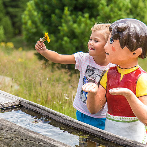 Heidialm am Falkert © Franz Gerdl_MBN Tourismus