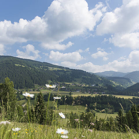 Panorama Gnesau © Franz Gerdl_MBN Tourismus