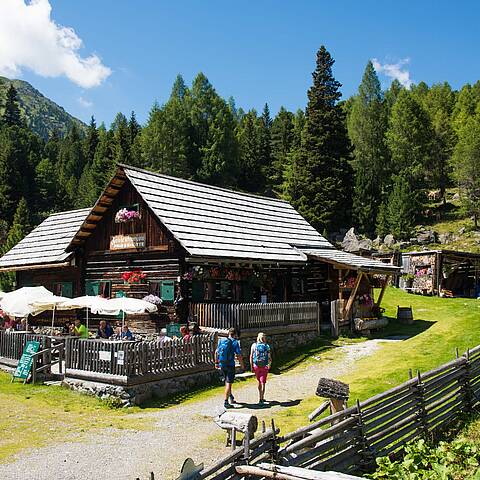 Wandern am Nockbereg Trail © Franz Gerdl_Kärnten Werbung