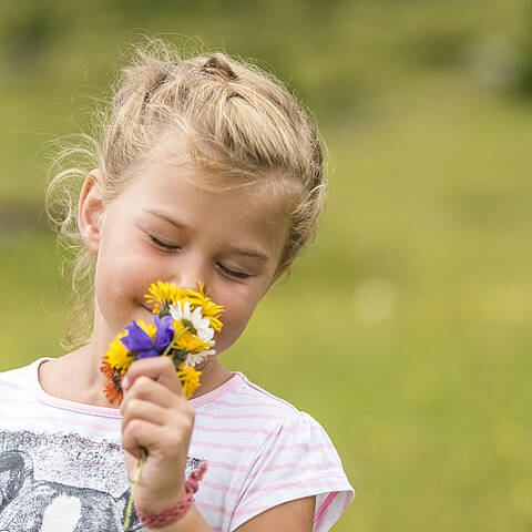 Familienwandern am falkert © Franz Gerdl_MBN Tourismus