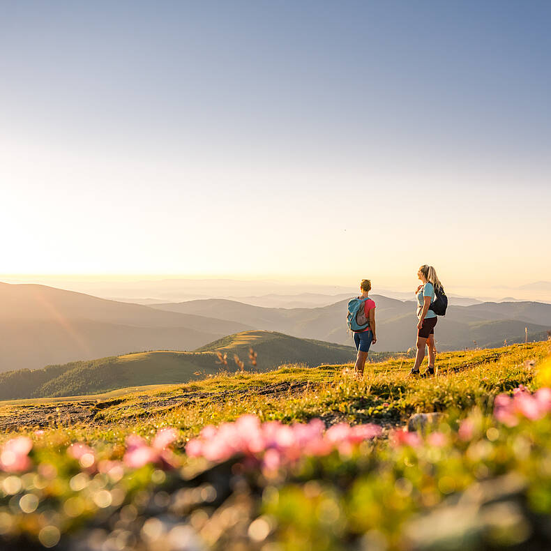 Wandern in den Nockbergen am Falkert © Michael Stabentheiner_MBN Tourismus