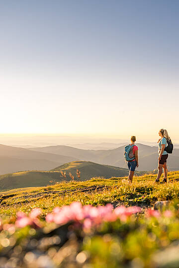 Wandern in den Nockbergen am Falkert © Michael Stabentheiner_MBN Tourismus