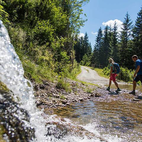 Wandern auf der Nockalmstraße © Franz Gerdl_Kärnten Werbung_Biosphärenpark Nockberge_MBN Tourismus