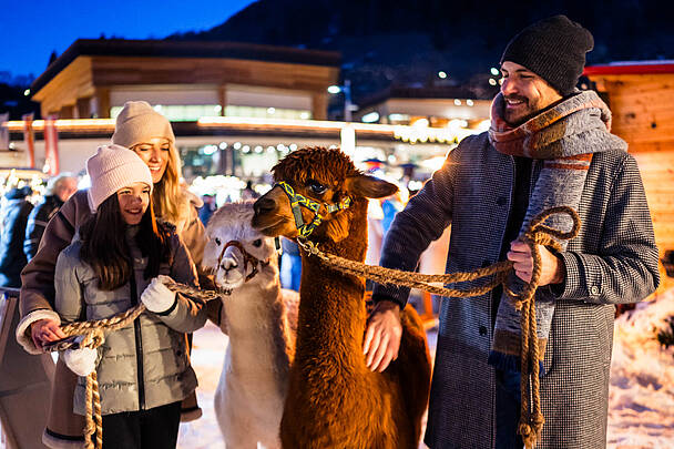 Kamel streicheln am Kirchheimer Advent © Michael Stabentheiner_MBN Tourismus